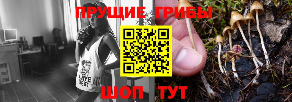Галлюциногенные грибы прущие грибы  где купить   Магнитогорск  Вход с VPN 