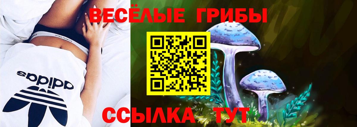 Псилоцибиновые грибы Psilocybine cubensis Магнитогорск